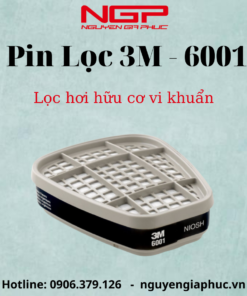 Pin Lọc 3M - 6001